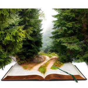Hypnosis Book by Debbie Waller Kindle eBook-0